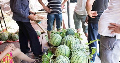 潮州最新吃瓜事件新闻,真相揭秘引网友热议