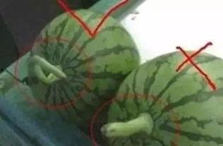 Sini吃瓜,揭秘娱乐圈幕后故事