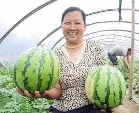 Sini吃瓜,揭秘娱乐圈幕后故事