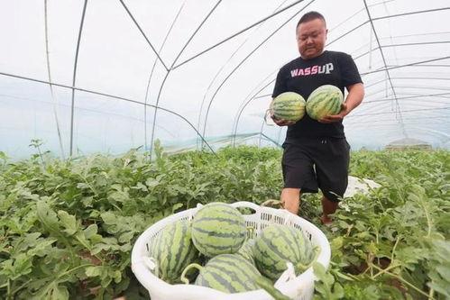 吃田瓜了,传统美味，现代演绎