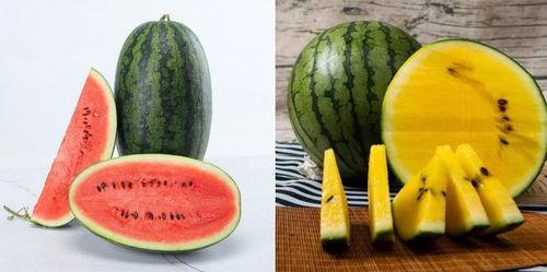 吃瓜预告57期,揭秘娱乐圈最新热点，明星幕后故事大曝光！