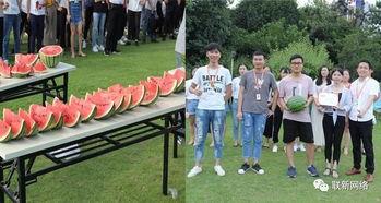 吃瓜大赛亚军,揭秘吃瓜大赛亚军背后的故事