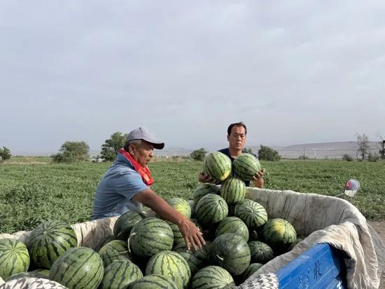 华奥新区吃瓜,吃瓜群众眼中的繁华盛景
