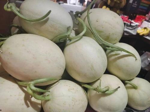 黄色的吃瓜蜂,揭秘神秘昆虫的生态与习性