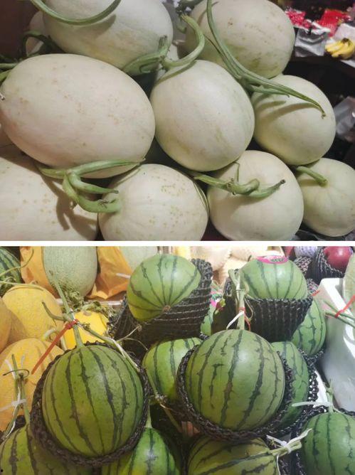 黄色的吃瓜蜂,揭秘神秘昆虫的生态与习性