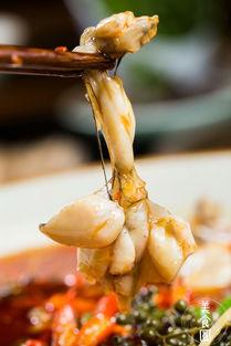 石牌桥吃瓜,一场热闹非凡的吃瓜盛宴