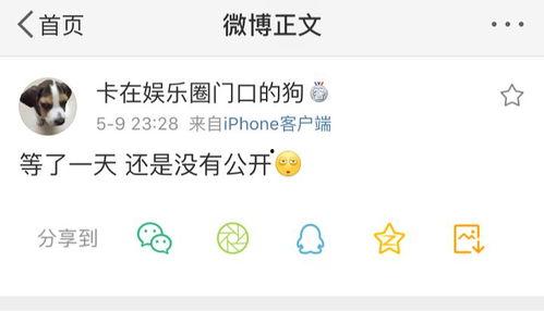 影院吃瓜爆料在线观看,独家在线观看，揭秘幕后真相