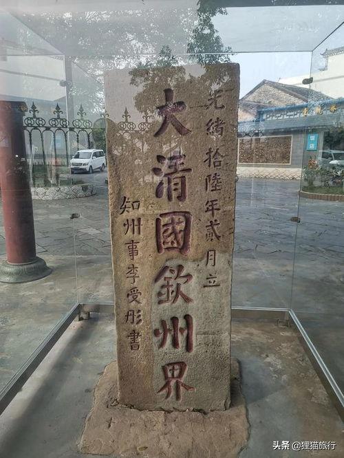 隔着一面墙吃瓜,揭秘邻里间的温馨互动