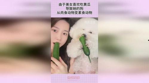 少女喜欢吃瓜,揭秘少女们的“瓜”之恋