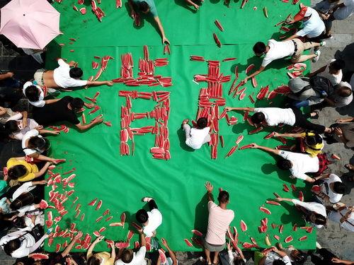 吃瓜大赛吐槽大赛,年度大赛幕后揭秘