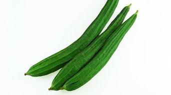 邢台任丘吃瓜,夏日吃瓜盛宴，品味地方特色