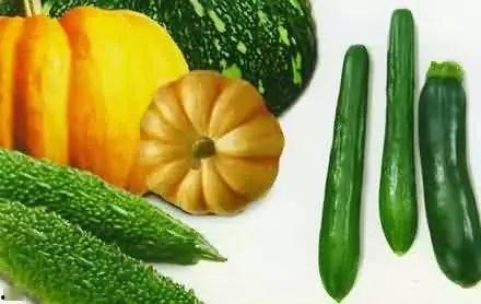 梦见吃瓜摘瓜送人,瓜果飘香，人生感悟之旅