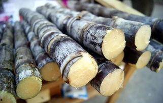 闽侯甘蔗吃瓜事件,一场误会引发的社区风波