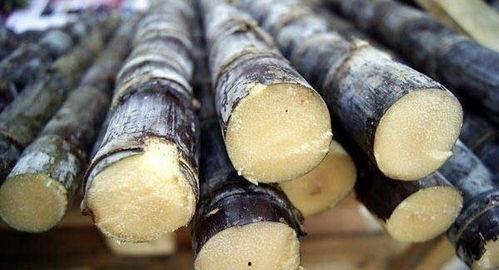 闽侯甘蔗吃瓜事件,一场误会引发的社区风波