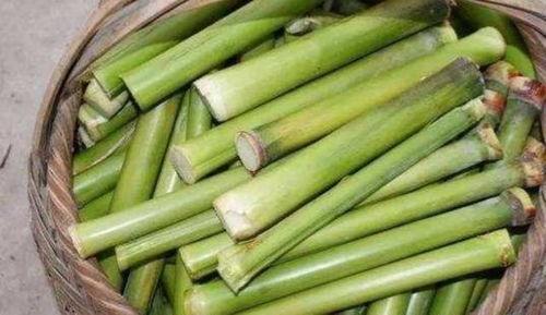 闽侯甘蔗吃瓜事件,一场误会引发的社区风波