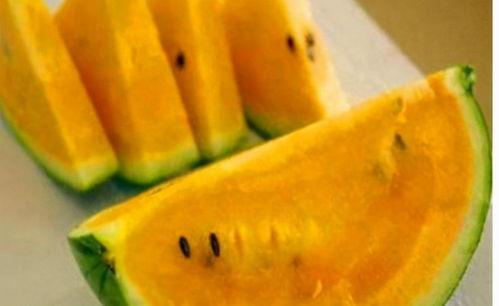 黄色吃瓜合集,黄色吃瓜合集大揭秘