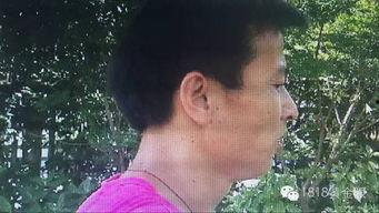 邓老师吃瓜,揭秘娱乐圈幕后故事