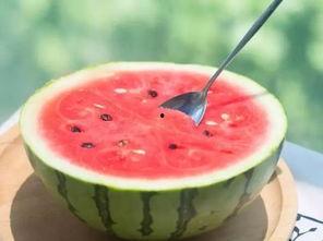 要做个好的吃瓜,教你如何成为一个优秀的“瓜农”