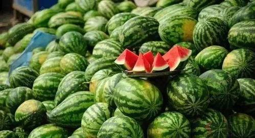 要做个好的吃瓜,教你如何成为一个优秀的“瓜农”