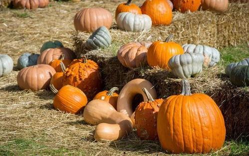 带你吃瓜的奖杯,带你领略“带你吃瓜”奖杯的魅力