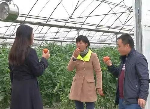 农村围观吃瓜群众,吃瓜群众的欢乐时光