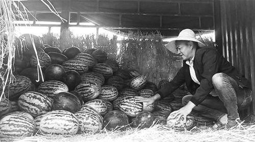 会昌吃瓜群众事件,一场网络舆论的风暴与反思