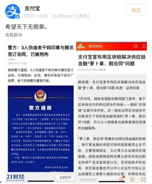 缅甸视频吃瓜qq,揭秘网络社交背后的趣味与争议