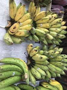 缅甸视频吃瓜qq,揭秘网络社交背后的趣味与争议