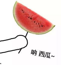 捧瓜的瓜心可以吃吗图片,可食用之谜