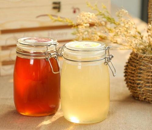 豆豆吃蜂蜜瓜,蜂蜜瓜之旅