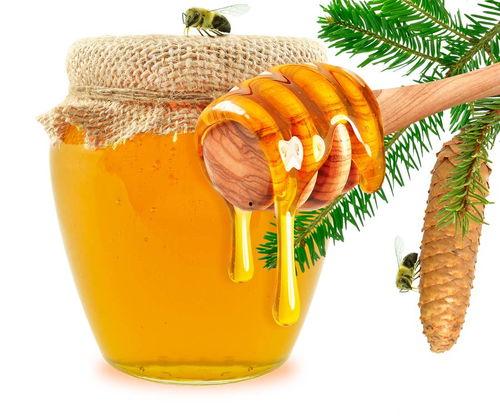 豆豆吃蜂蜜瓜,蜂蜜瓜之旅