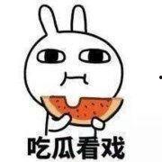 吃瓜丰富表情