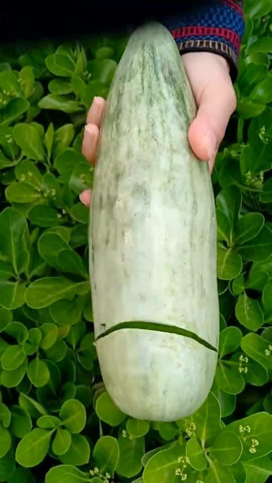 吃切瓜有什么好处,吃切瓜的五大益处揭秘