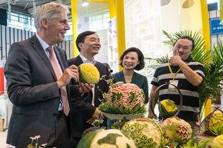 扬州的吃瓜热情,吃瓜热情点燃古城味蕾