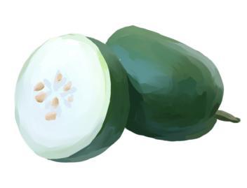 如何看懂吃瓜图片,教你轻松看懂网络热点