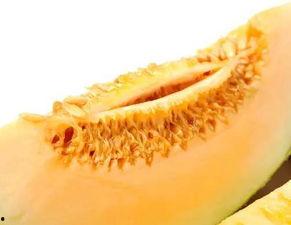 吃蜜瓜便血,揭秘吃蜜瓜便血背后的健康危机