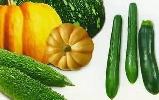 飘瓜怎么吃,解锁夏日清新美味