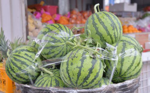 生活乐无忧 吃瓜 吃瓜,共享欢乐吃瓜时光