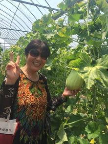 生活乐无忧 吃瓜 吃瓜,共享欢乐吃瓜时光