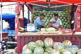吃瓜日服,轻松畅享夏日清凉新体验