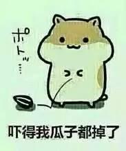 吃瓜看戏搞笑视频,笑料百出！吃瓜看戏搞笑视频大盘点