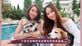 卖狗小伙吃瓜,瓜田李下，人生百态