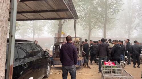 卖狗小伙吃瓜,瓜田李下，人生百态