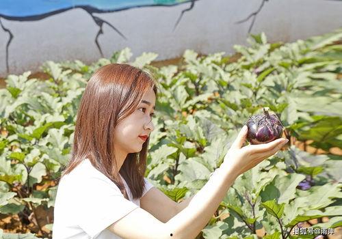 小外孙女吃瓜,小外孙女吃瓜趣事多