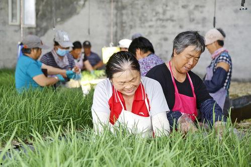 小外孙女吃瓜,小外孙女吃瓜趣事多
