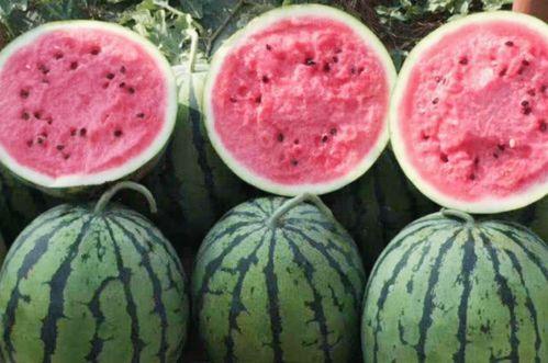 梦里买瓜吃瓜什么预兆,预示着什么美好未来？