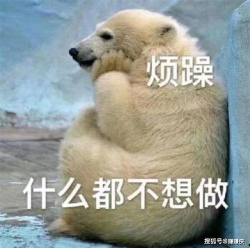 吃瓜群众伤心图片,吃瓜群众伤心瞬间