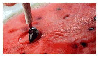 吃活人内脏瓜会怎样,揭秘致命诱惑背后的真相