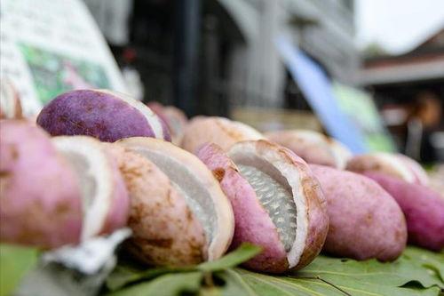 八月吃瓜集合,盘点当月热门话题与热议事件