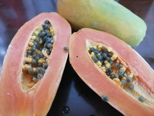 楼内吃瓜,邻里间的趣味生活瞬间